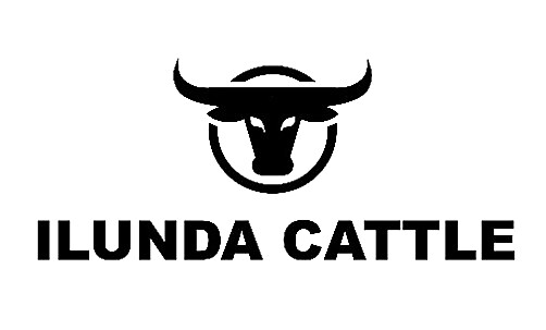 Ilunda Cattle Logo
